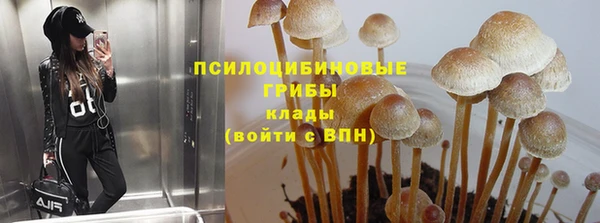 мяу мяу мука Алексин