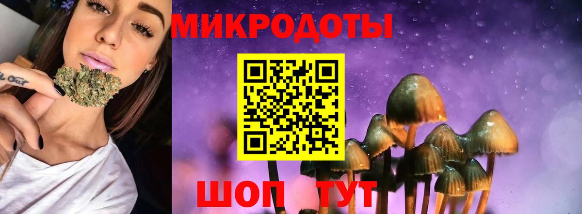 Галлюциногенные грибы Cubensis Чебаркуль